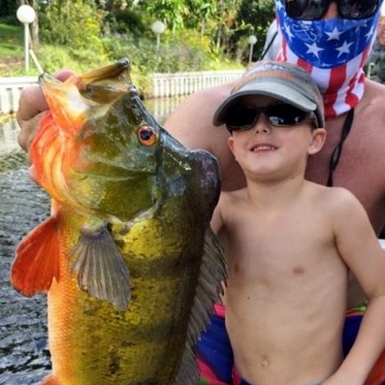 A Guide to Peacock Bass Fishing in Tampa Bay